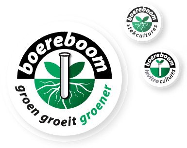 Boereboom logo
